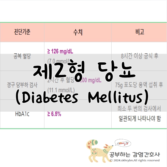 당뇨(diabetes mellitus, DM), 제2형 당뇨병 완벽 가이드