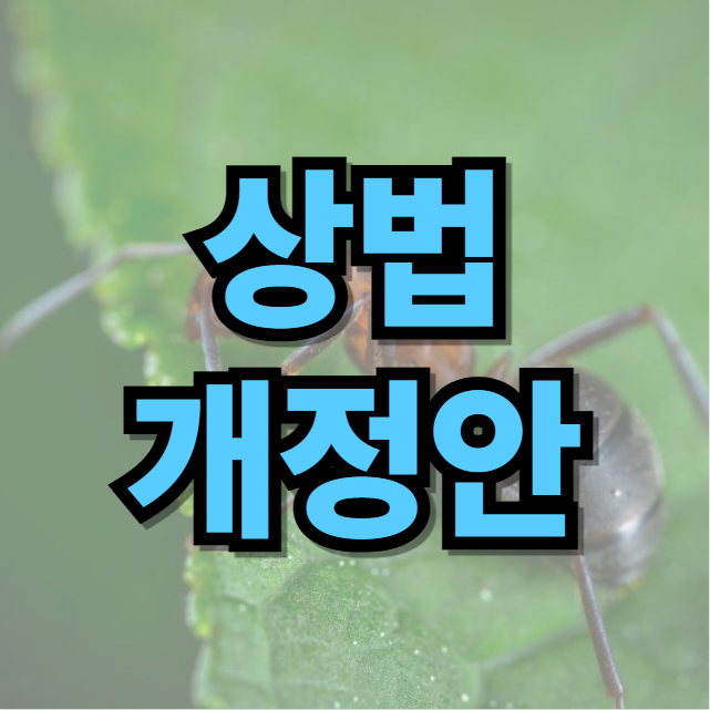 상법 개정, 개정안 뜻 내용
