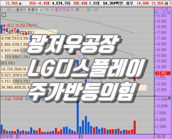  LG디스플레이 주가 OLED 공장 가동 1000만 시대 연다.