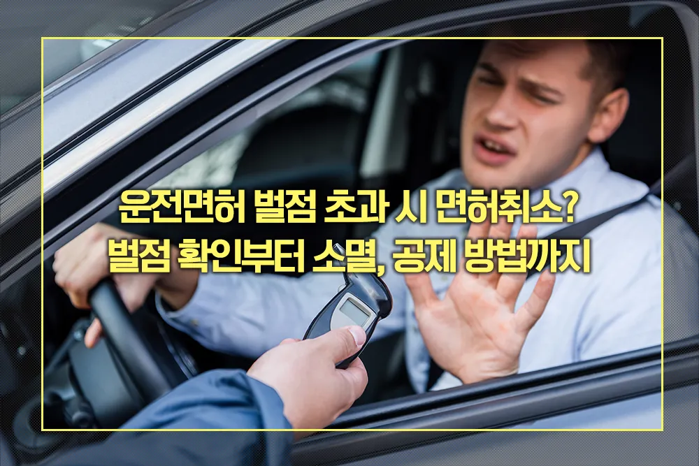 면허취소 벌점, 확인 소멸, 공제 방법