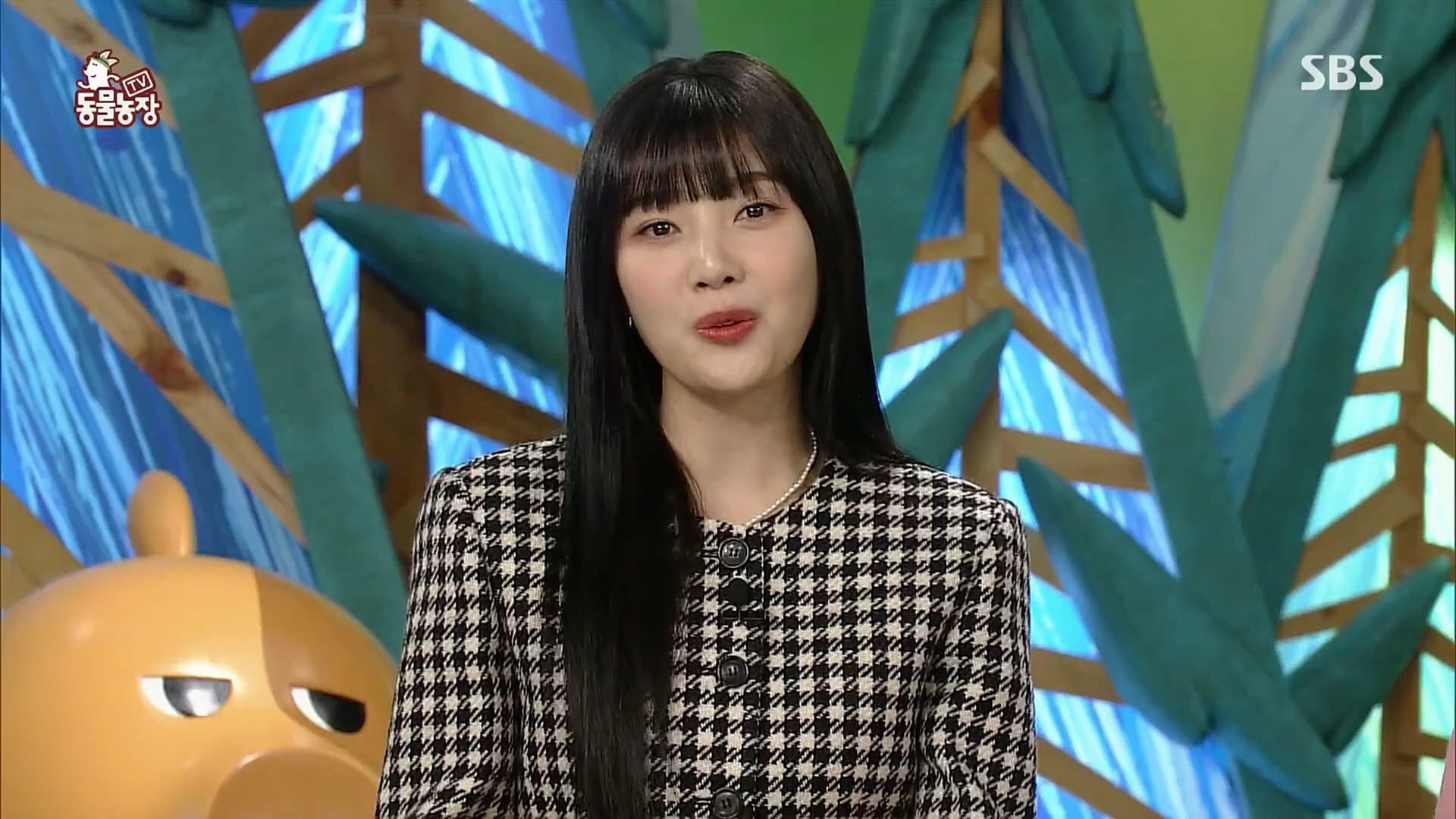 TV 동물농장.E1098.221204p.H264-F1RST.mp4_20221204_175356.401.jpg