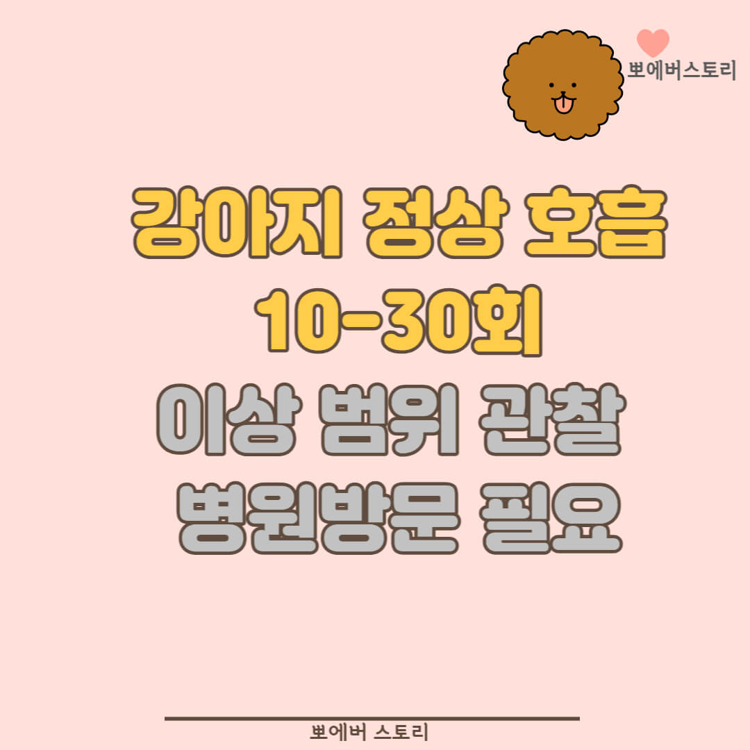 반려견정상호흡수