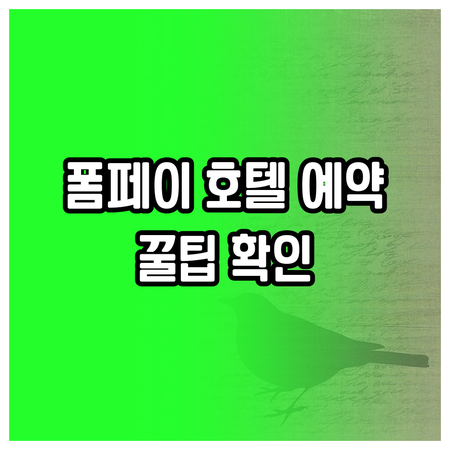 폼페이 호텔 예약 전 꼭 확인해야 할
