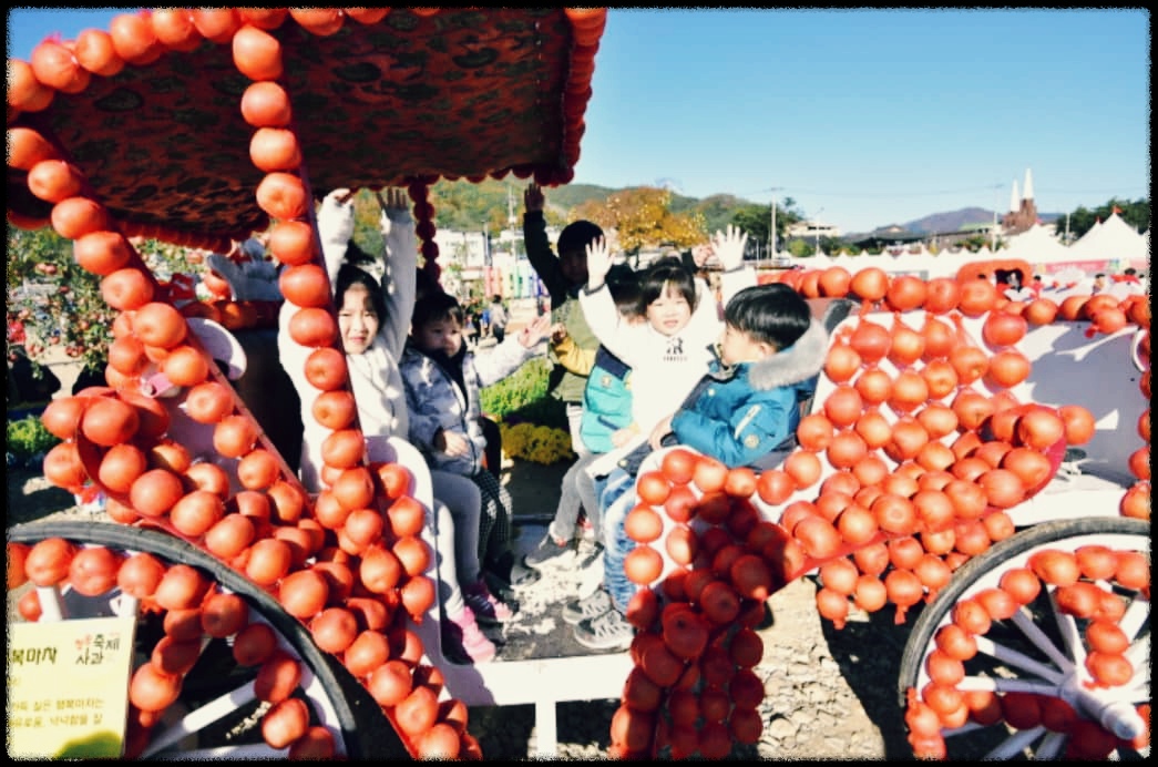 청송사과축제