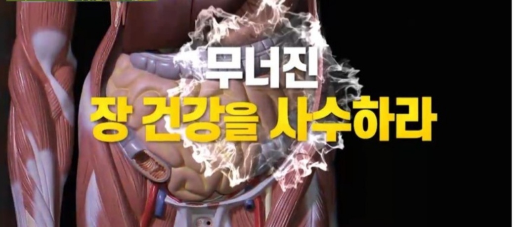  천기누설무너진장살리는아스파라거스효능 면역의시작과끝 아스파라거스장아찌볶음레시피 아스파라거스얼음주스 아스파라거스활용법고르는법손질법보관법 장건강살리는생활습관