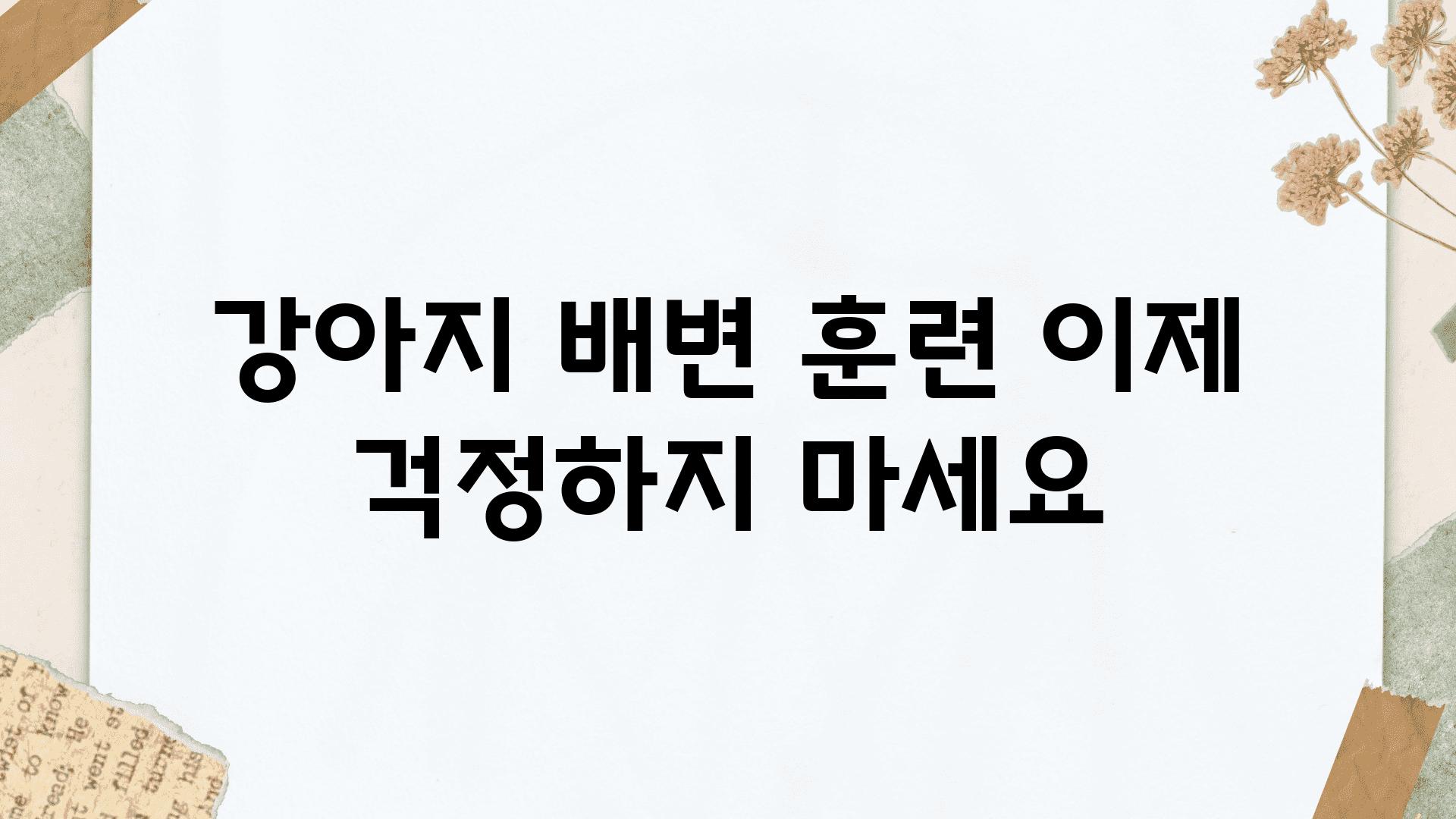 강아지 배변 훈련 이제 걱정하지 마세요