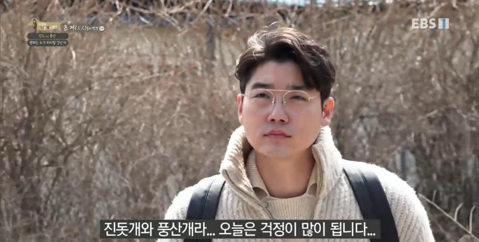 풍산개의치열한 혈투와 전쟁 - EBS 세상에 나쁜 개는 26
