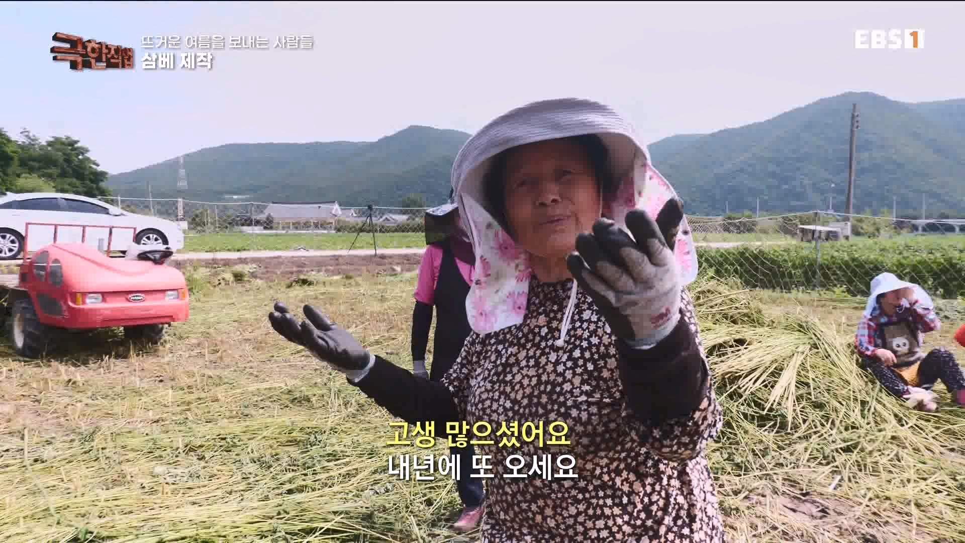 [극한 직업] 삼베 제작과 농어잡이 230812p.mp4_20230814_204004.396.jpg