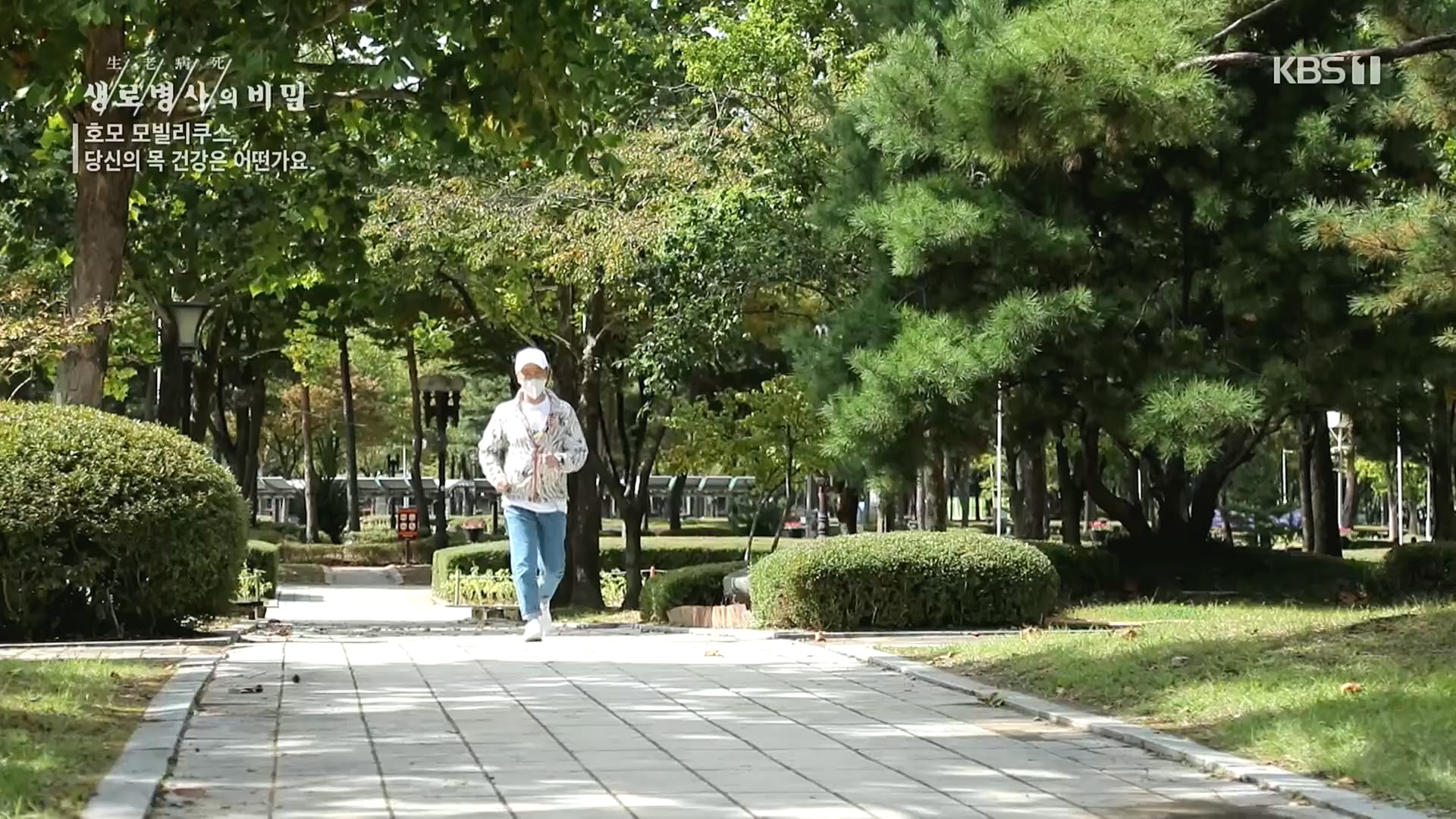 생로병사의 비밀.E841.221026p.H264-F1RST.mp4_20221027_200829.327.jpg