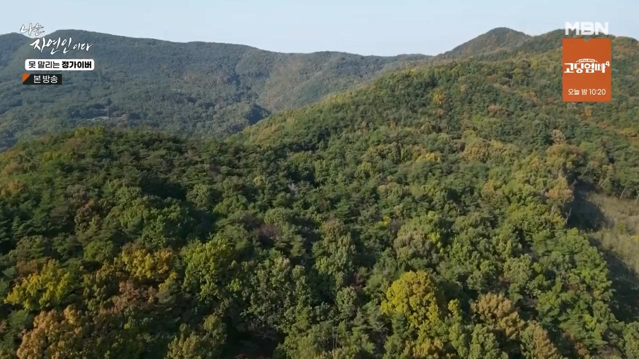 나는 자연인이다.E580.231116p-NEXT.mp4_20231116_202506.509.jpg