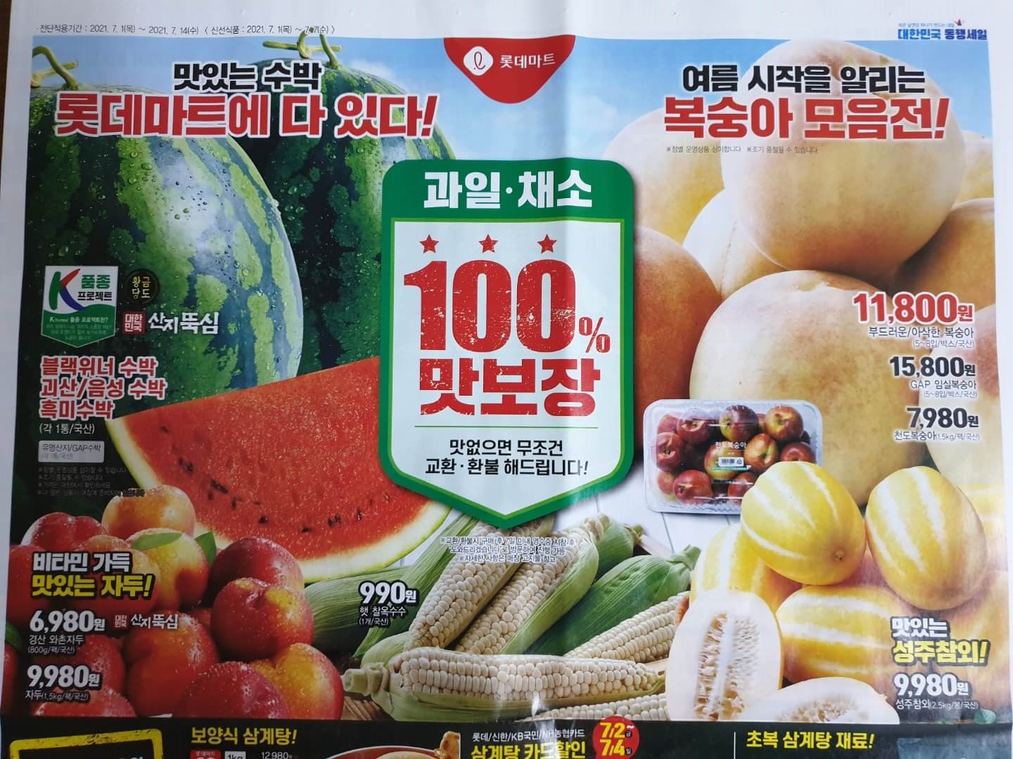 롯데마트 전단지