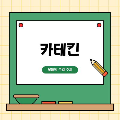 카테킨