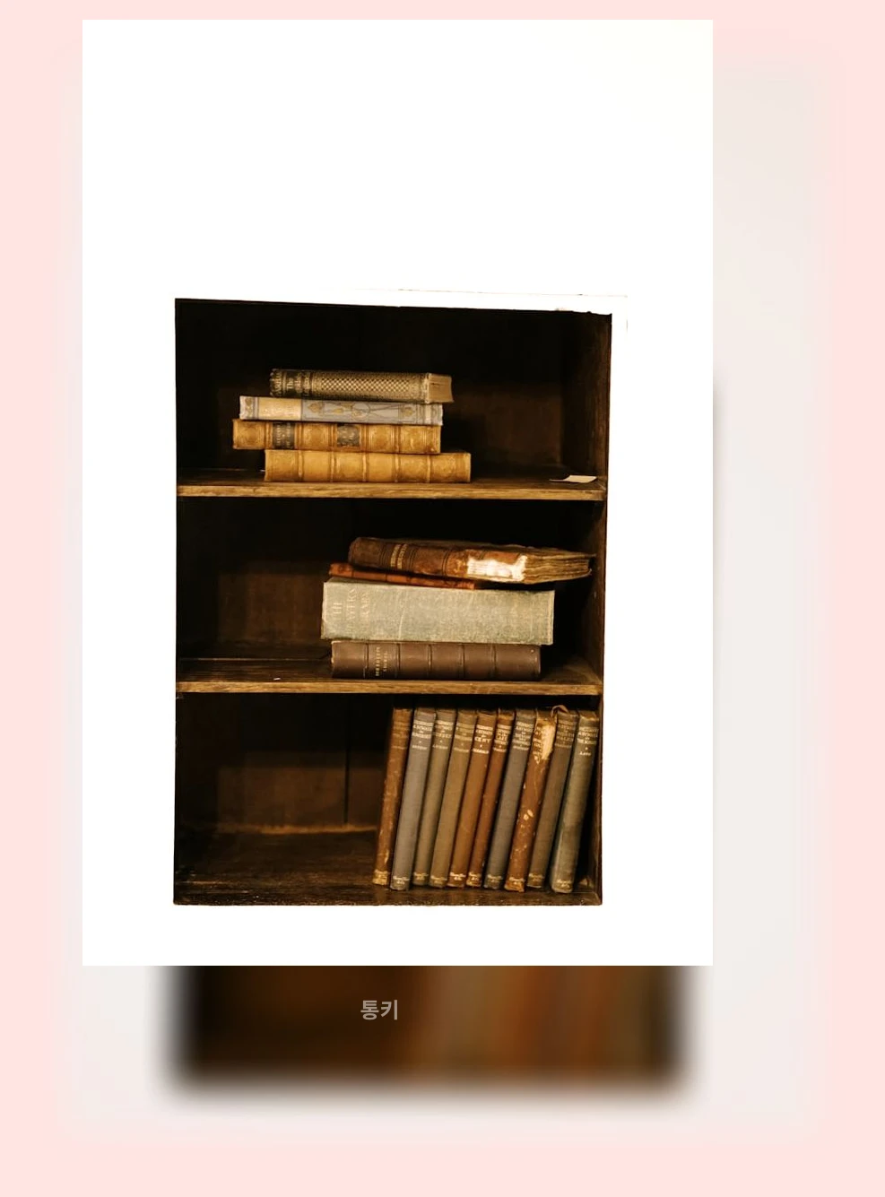 문학적 표현_2_subsection