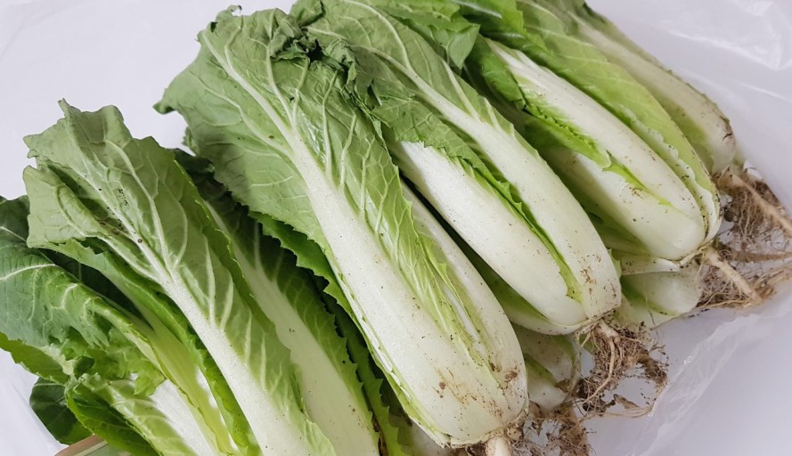 미묘한 차이 이미지