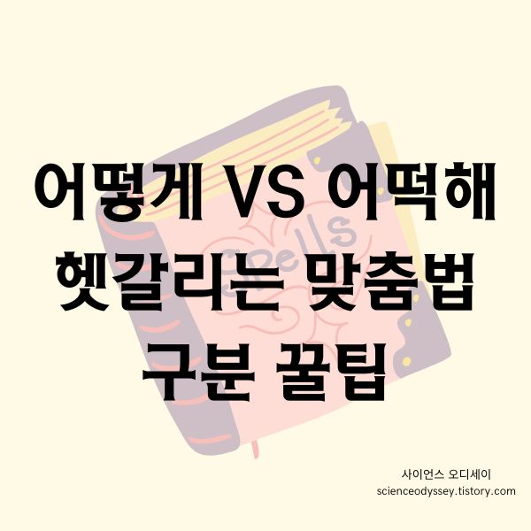 어떻게 어떡해 헷갈리는 맞춤법, 이젠 절대 안틀려요! 😎