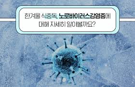 노로바이러스 감염을 예방-바이러스