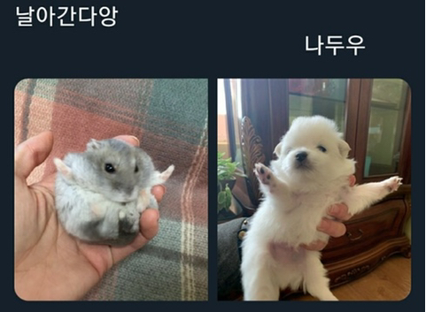  쓩~ 하고 날아간다~