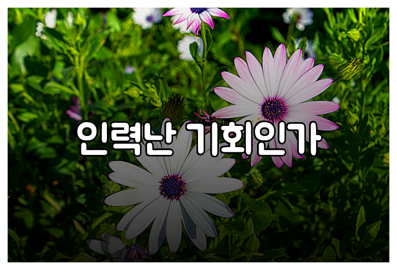 인력난 기회인가