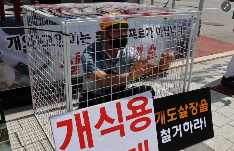 청년이 동물용으로 보이는 좁은 케이지 안에 들어가 있다.