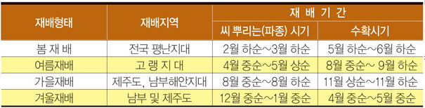 감자재배시기