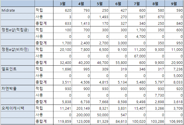 부수입내역1
