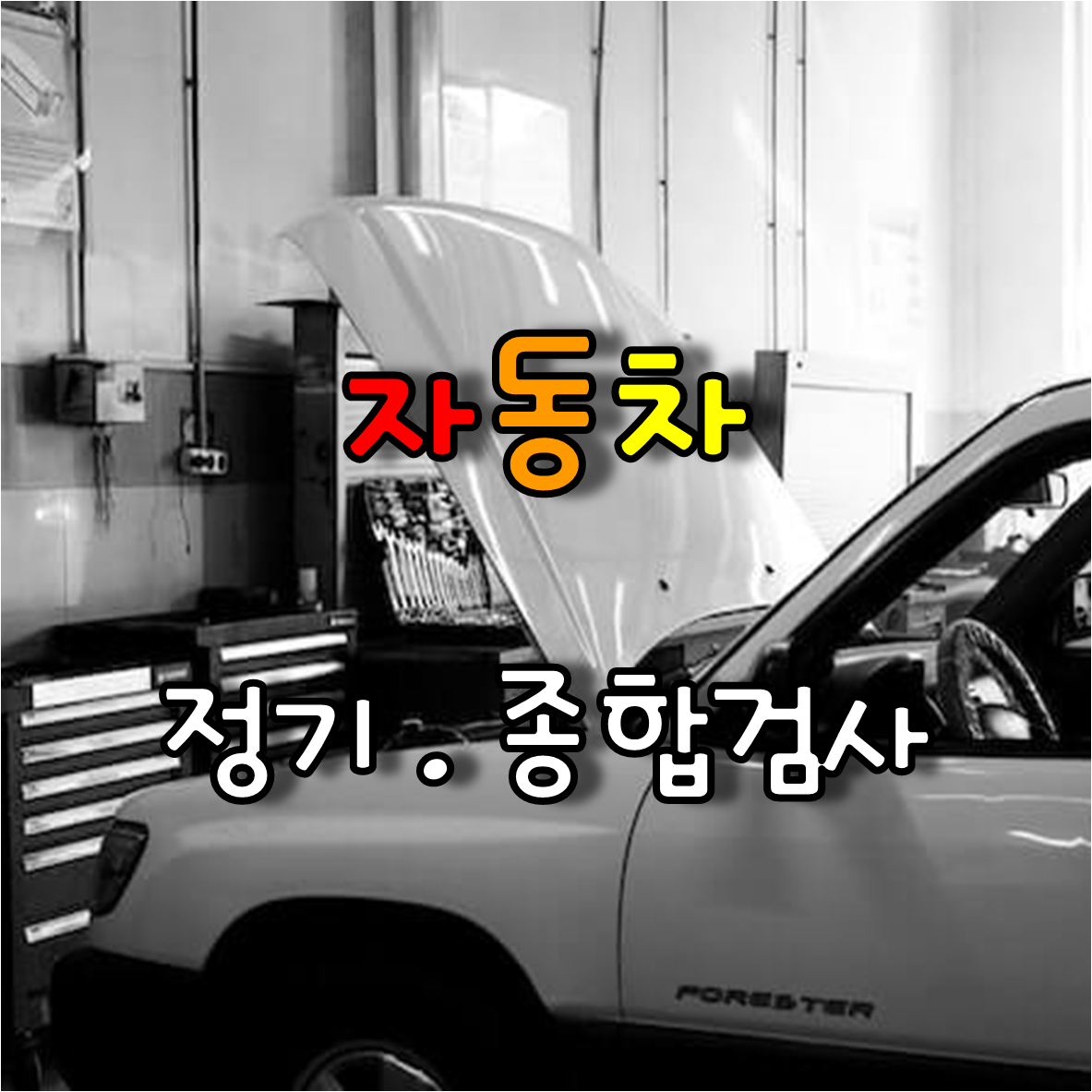  자동차 관리 정기, 종합 검사 및  비용