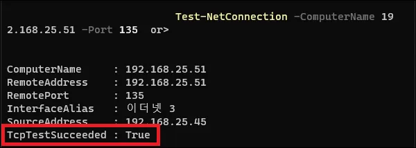 윈도우11 상대방 열린 포트 확인하기