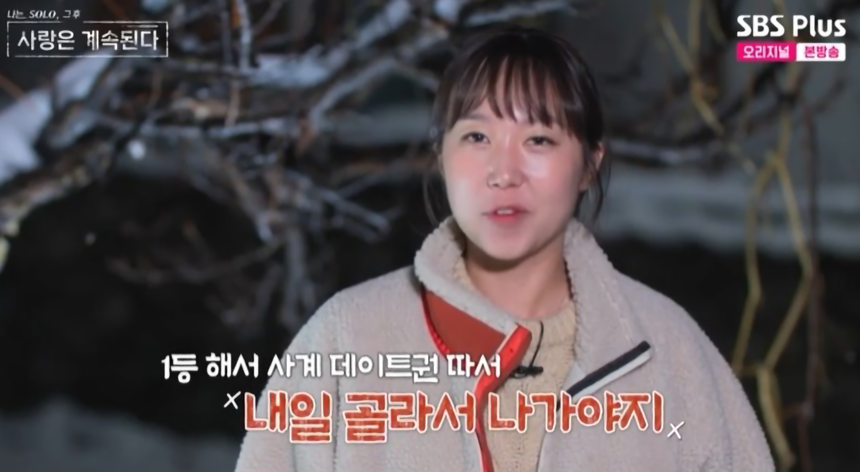 나솔사계