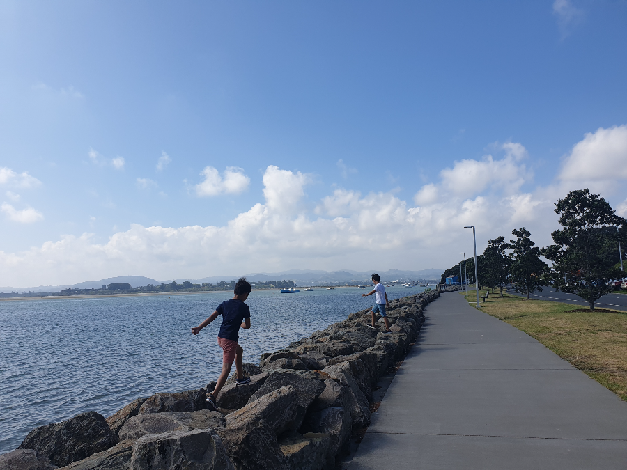 Waterfront Tauranga