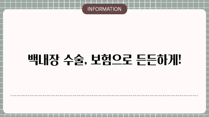 백내장 실손: 