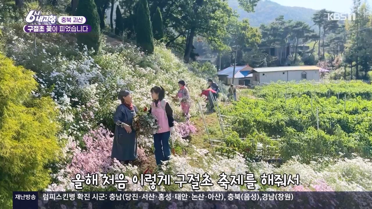 6시 내고향.E7910.231032p-NEXT.mp4_20231101_204602.533.jpg