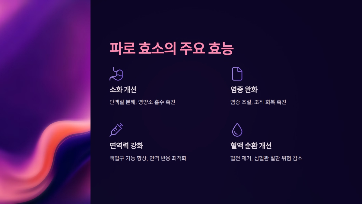 파로 효소 효능