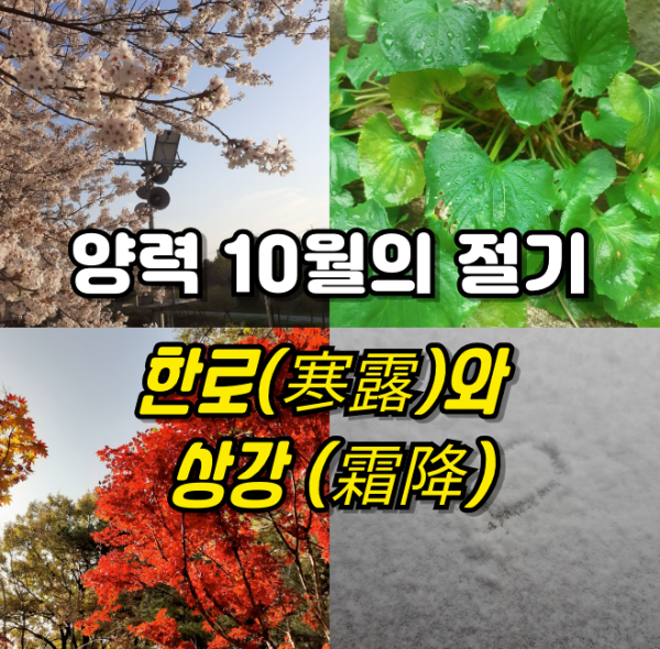 양력 10월의 절기 (24절기)