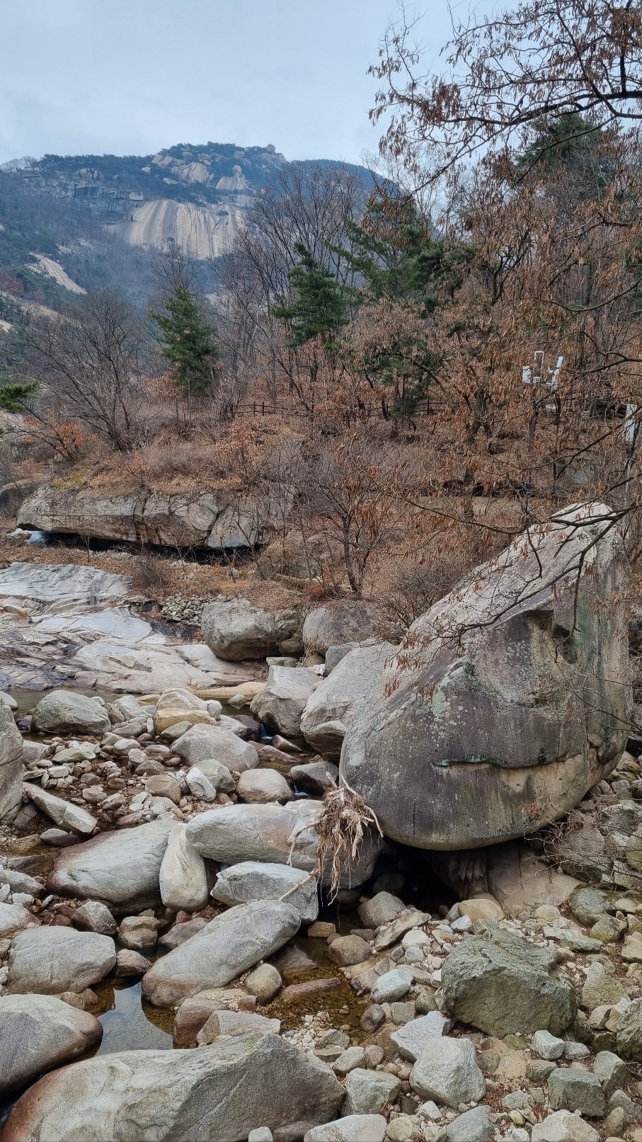 2023, 3월1일 스벅 더북한산, 11