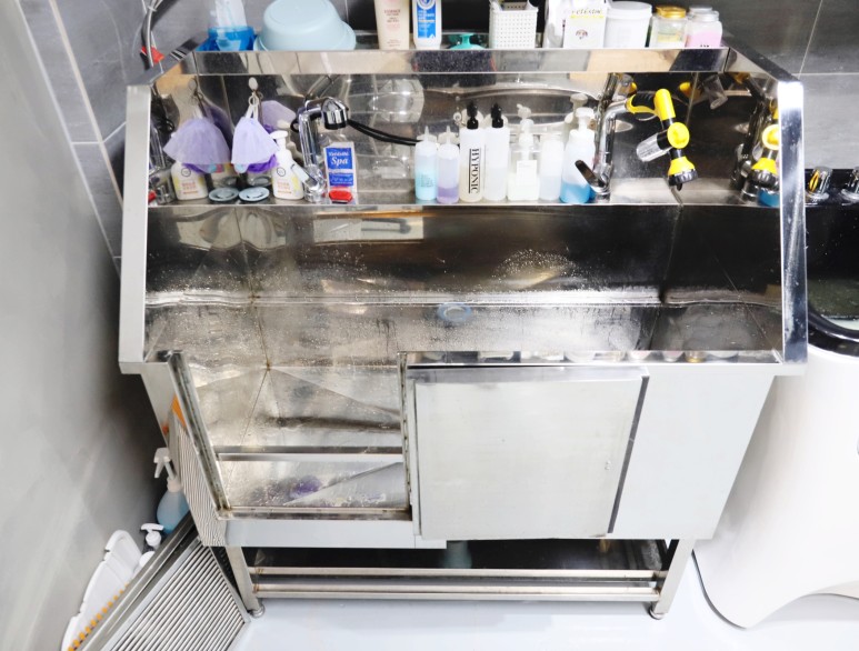 황금동 '도그 데이트' 가게 위쪽 굿! 대구 애견호텔 미용 9