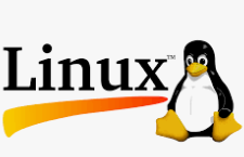 리눅스 커널(linux kernel) 버전 정보 확인 썸네일
