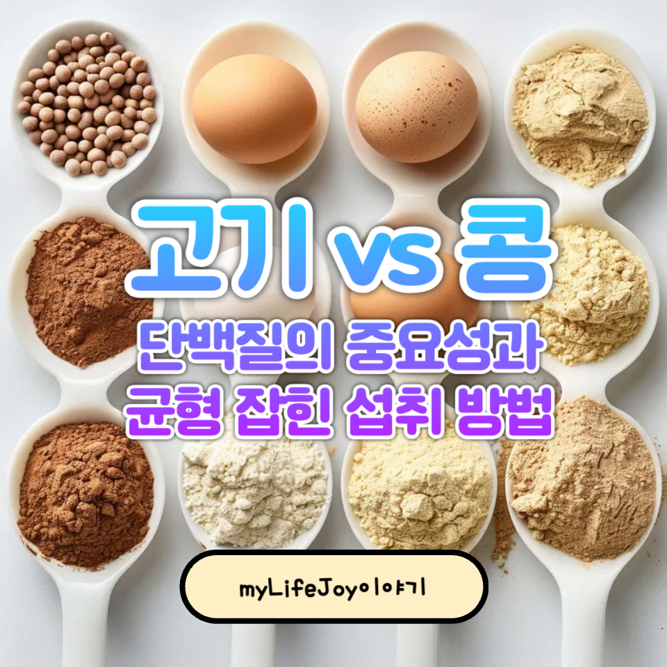 고기 단백질과 콩 단백질