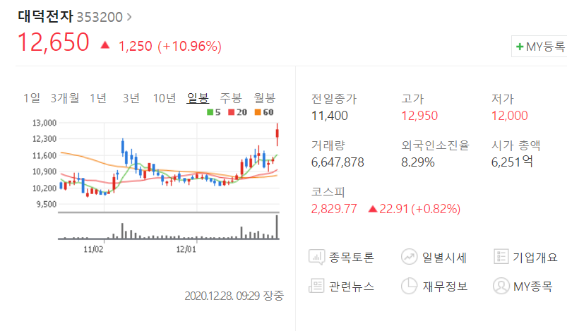  매출 121배 성장, 대덕전자 기업 분석해보기