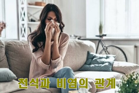  천식과 비염의 관계