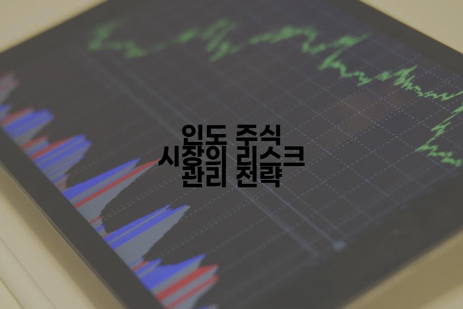 인도 주식 시장의 리스크 관리 전략