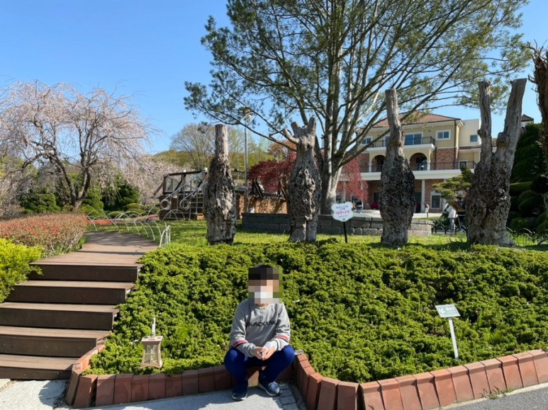 세종 가볼만한곳세종 가볼만한곳베어트리파크 3