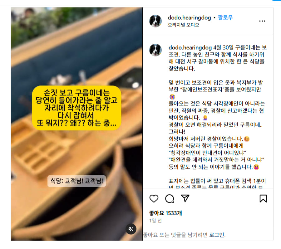 Guide Dogs for the Deaf Instagram