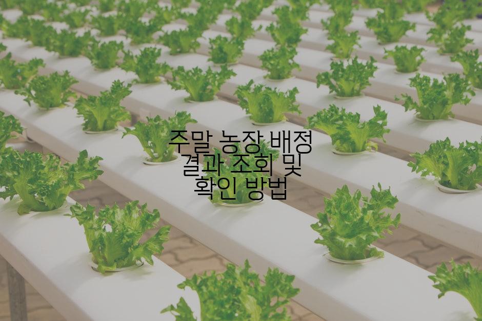 주말 농장 배정 결과 조회 및 확인 방법
