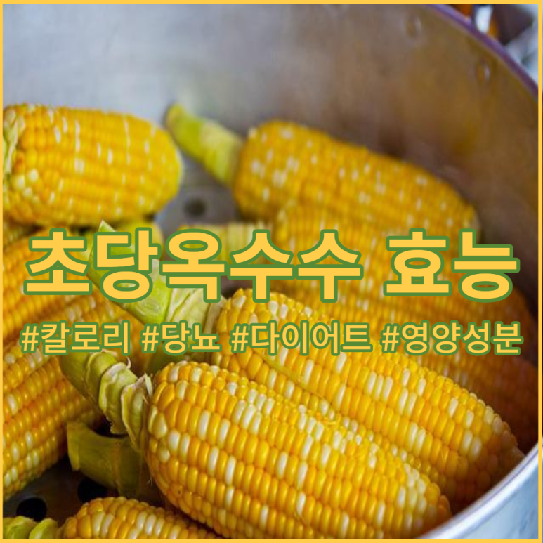 핍박 콘 효과 - 칼로리 다이어트 당뇨병 옥수수찜 저장법 옥수수 수염 차 8