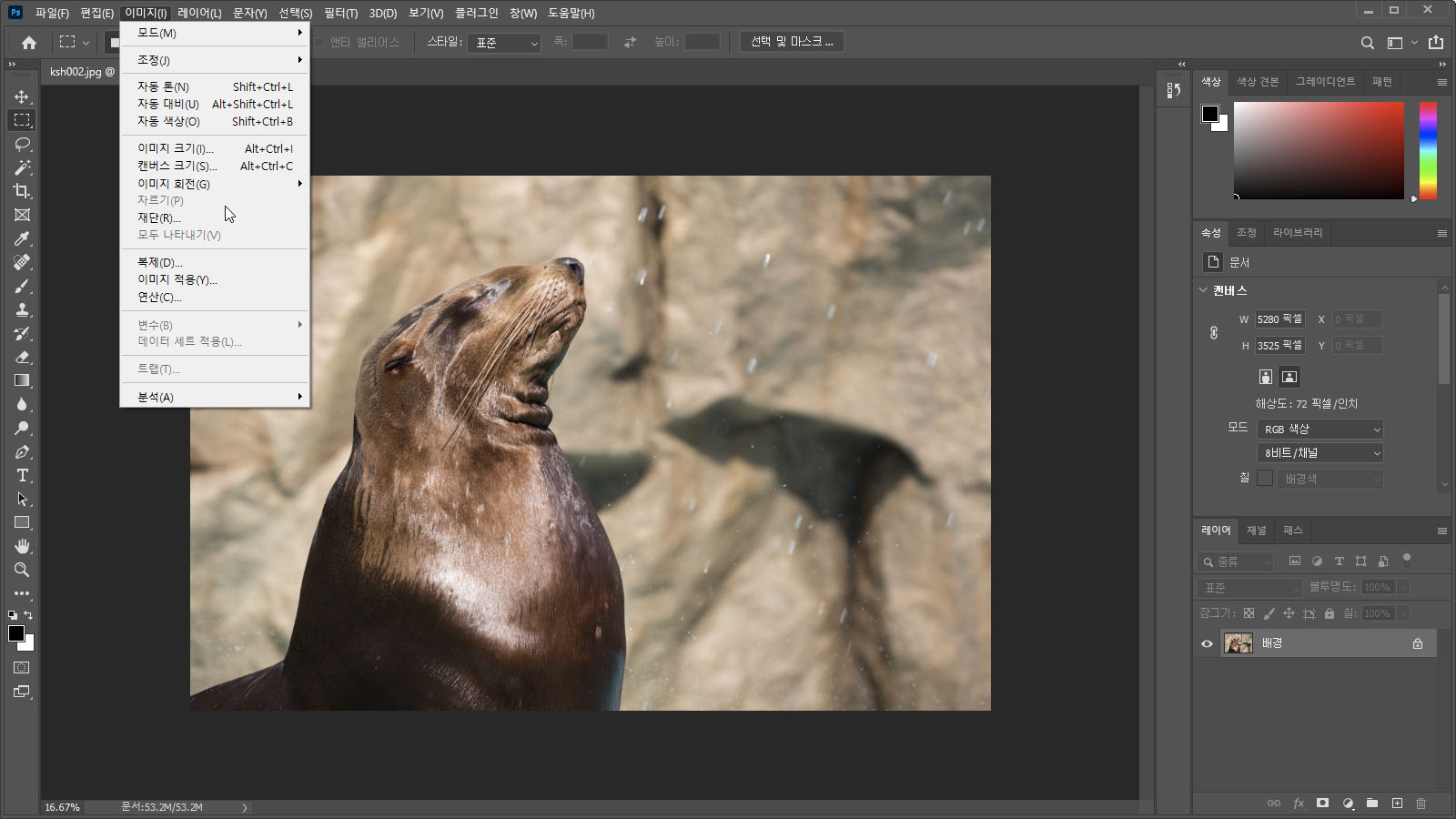 자르기 실행 방법