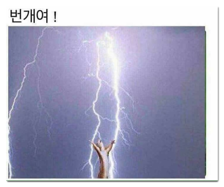  다람쥐 짤, 람쥐 썬더
