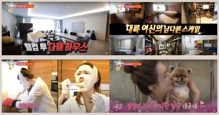  이다해 믹서기 찜기 전지적 참견 시점 <전참시>에 나온 찜기의 헤르메스