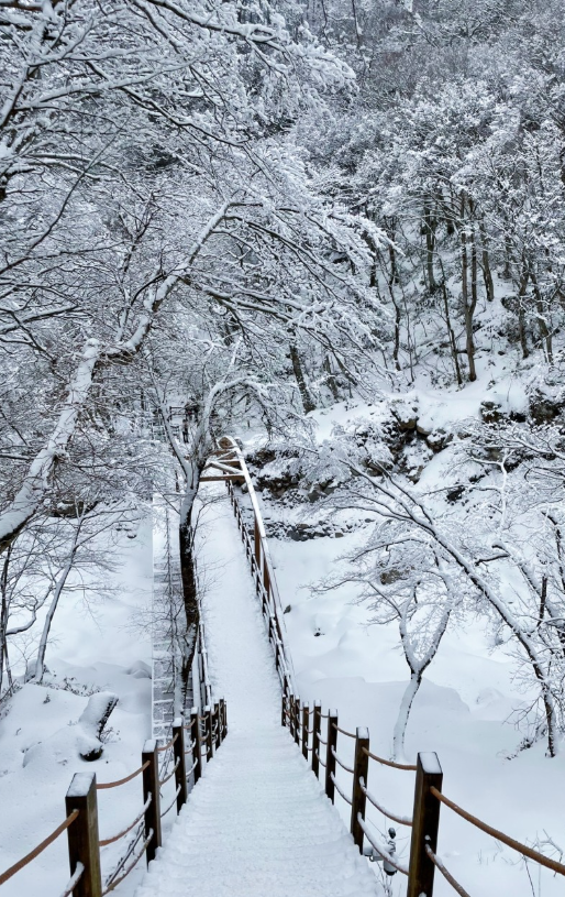 한라산 성판악코스 설경