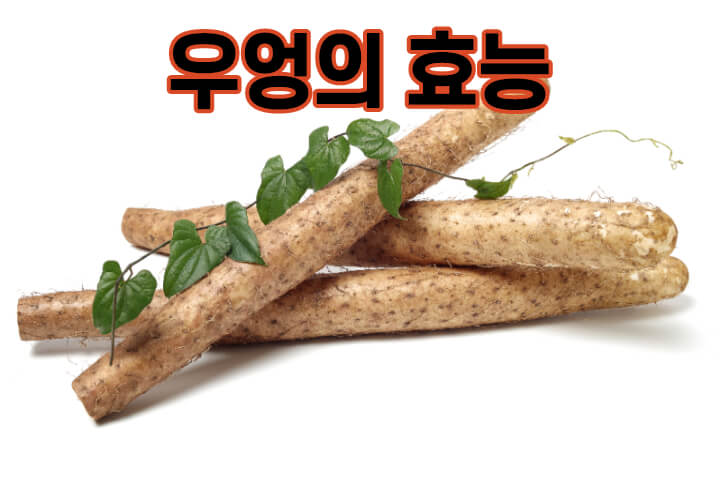  우엉의 효능