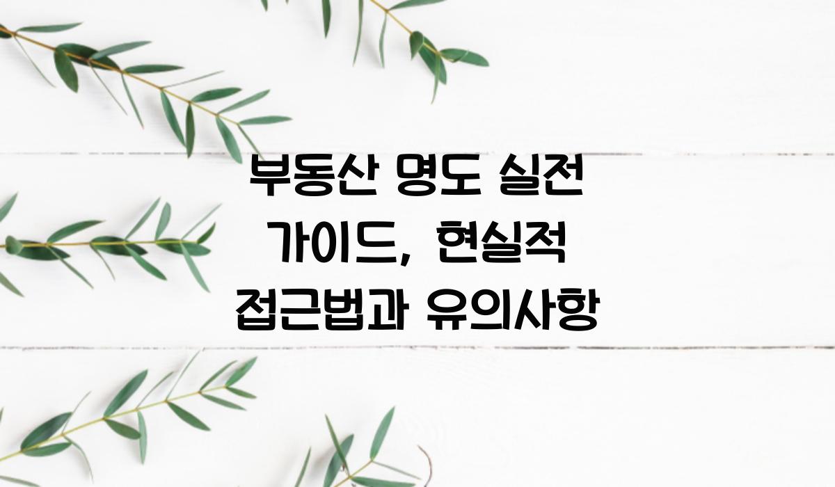 명도 실전 가이드